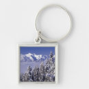 Search for preserve key rings Landscape