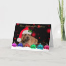 Search for border terrier christmas cards Dog