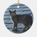 Search for domesticated christmas tree decorations Grey