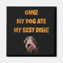 Search for my dog magnets Quote