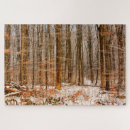 Search for snow forest puzzles Landscape