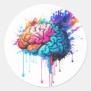 Search for brain anatomy stickers Science