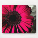 Search for pink daisy mousepads Floral