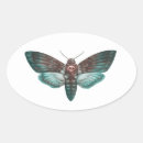 Search for death head stickers Insect