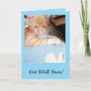 Search for funny cat image cards For her