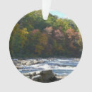Search for rapids christmas tree decorations River