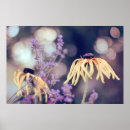 Search for rudbeckia posters Nature
