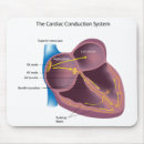 Search for cardiology electronics Cardiologist