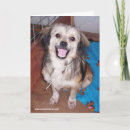 Search for aspca Puppy