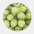 Search for veg magnets Fresh