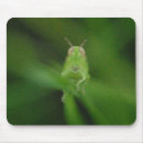 Search for hopper mousepads Bug