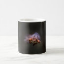 Search for flying squirrels mugs Wildlife