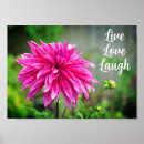 Search for dahlia flower posters Floral