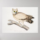 Search for large owl posters Vintage