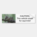 Search for squirrel bumper stickers Wildlife