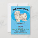 Search for companions invitations Pet