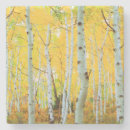 Search for 1 of colours coasters Superstock