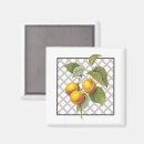 Search for apricot magnets Nature