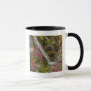 Search for fireweed mugs Alaska