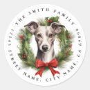 Search for whippets stickers Cute