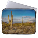 Search for superstition electronics Saguaro cactus