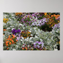 Search for smithsonian art Flower garden