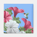 Search for petunia magnets White