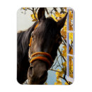 Search for window magnets Horse