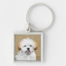 Search for lhasa key rings Apso