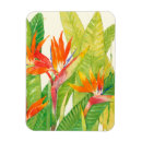 Search for tropical colours magnets Botanical