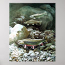 Search for brooks posters Animals