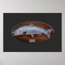 Search for salmon posters Sport