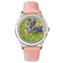 Search for spitz accessories Cute