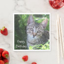 Search for grey cat napkins Kitty