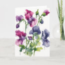 Search for sweet pea flowers postcards Floral