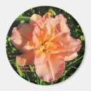 Search for double magnets Flowers