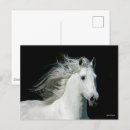 Search for headshot postcards Bob langrish