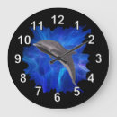 Search for dolphin clocks Water