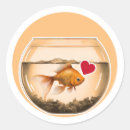 Search for goldfish stickers Animal