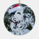 Search for dalmatian christmas tree decorations Snow