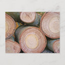 Search for pile Timber