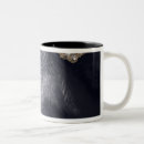 Search for satellite mugs Islands