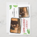 Search for holly and berries christmas cards Mistletoe