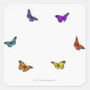 Search for butterflies fly stickers Butterfly