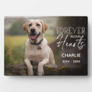 Search for rainbow bridge gifts In loving memory