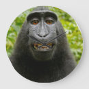 Search for happy monkey art Funny
