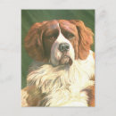 Search for newfoundland dog postcards Vintage