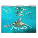 Search for sea turtle calendars Reptile