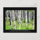 Search for aspen colorado postcards Landscape