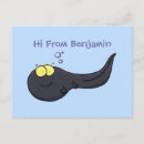 Search for baby frog postcards Cartoon